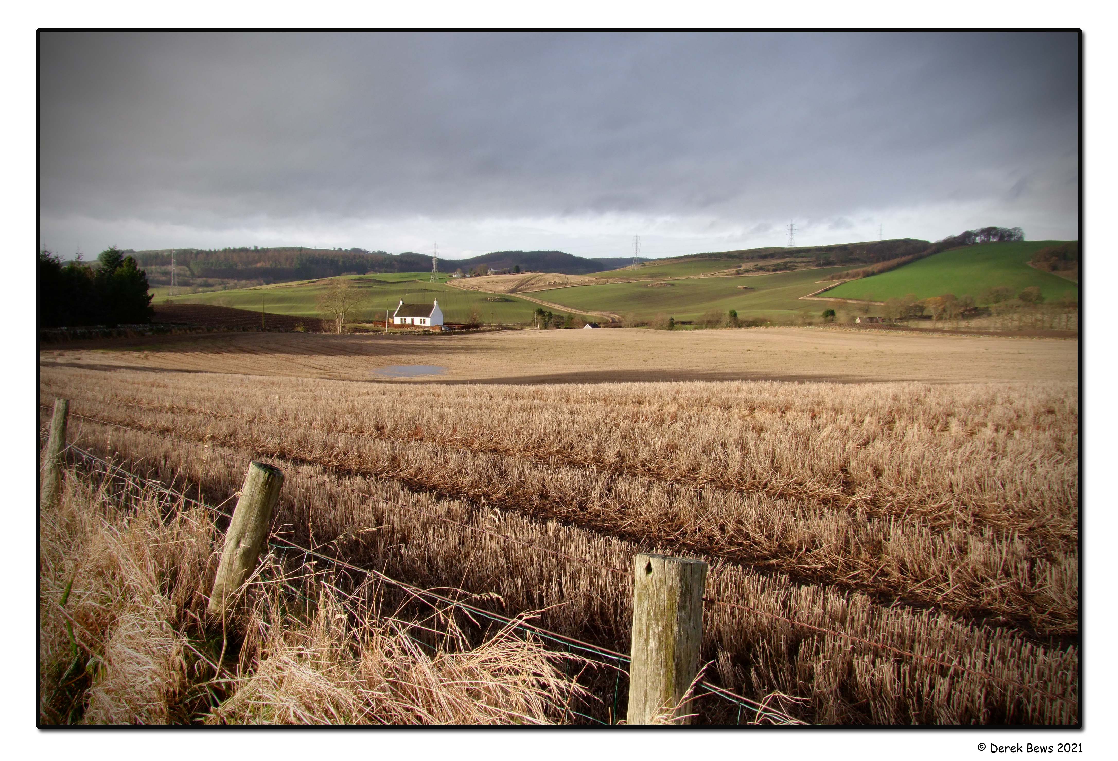 Lumquhat Farmland