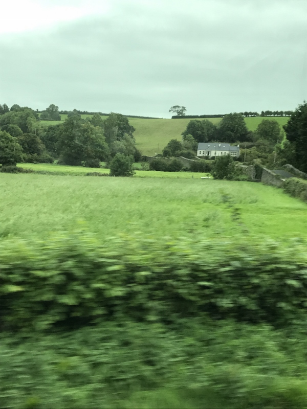 Irish countryside on the drive to Tollymore Forest