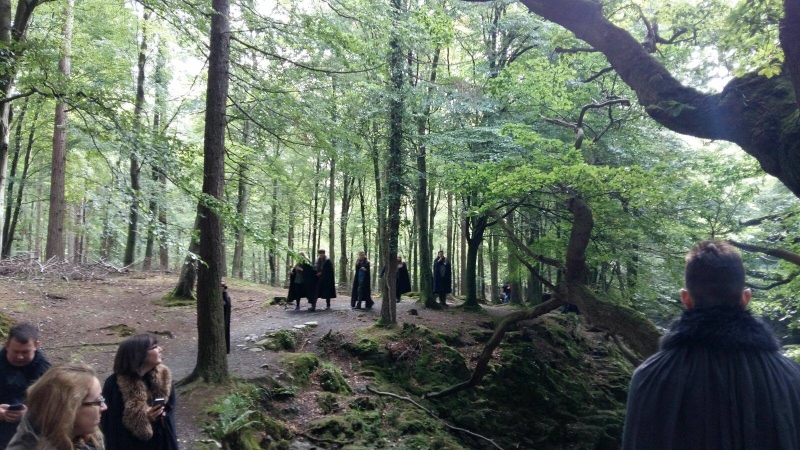 Tollymore Forest