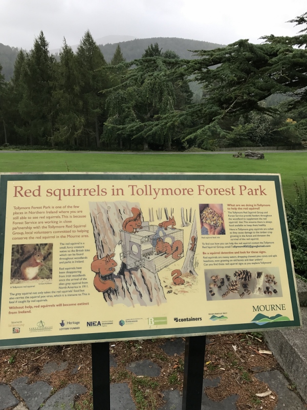 Tollymore Forest