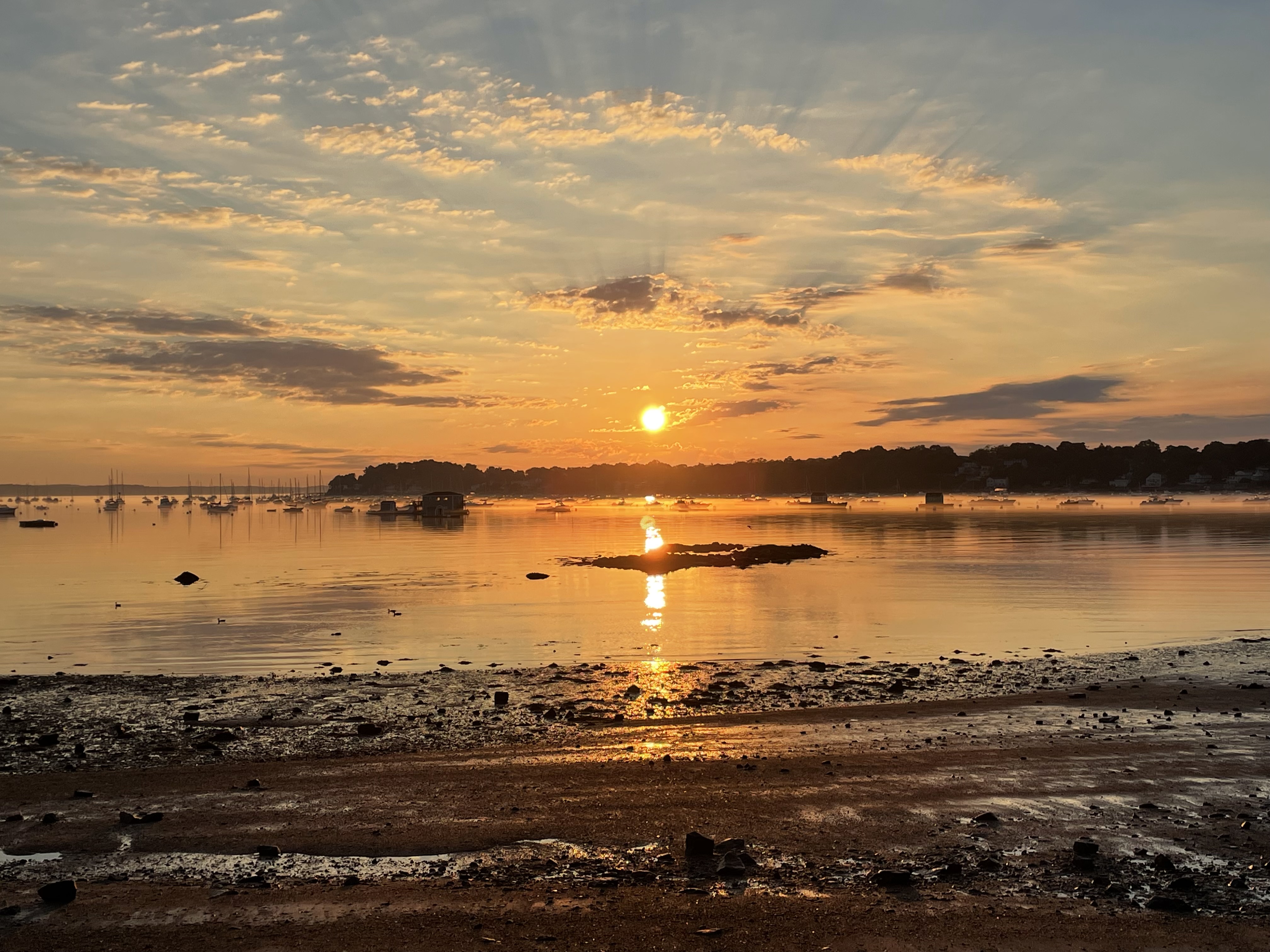 Johns sunrise