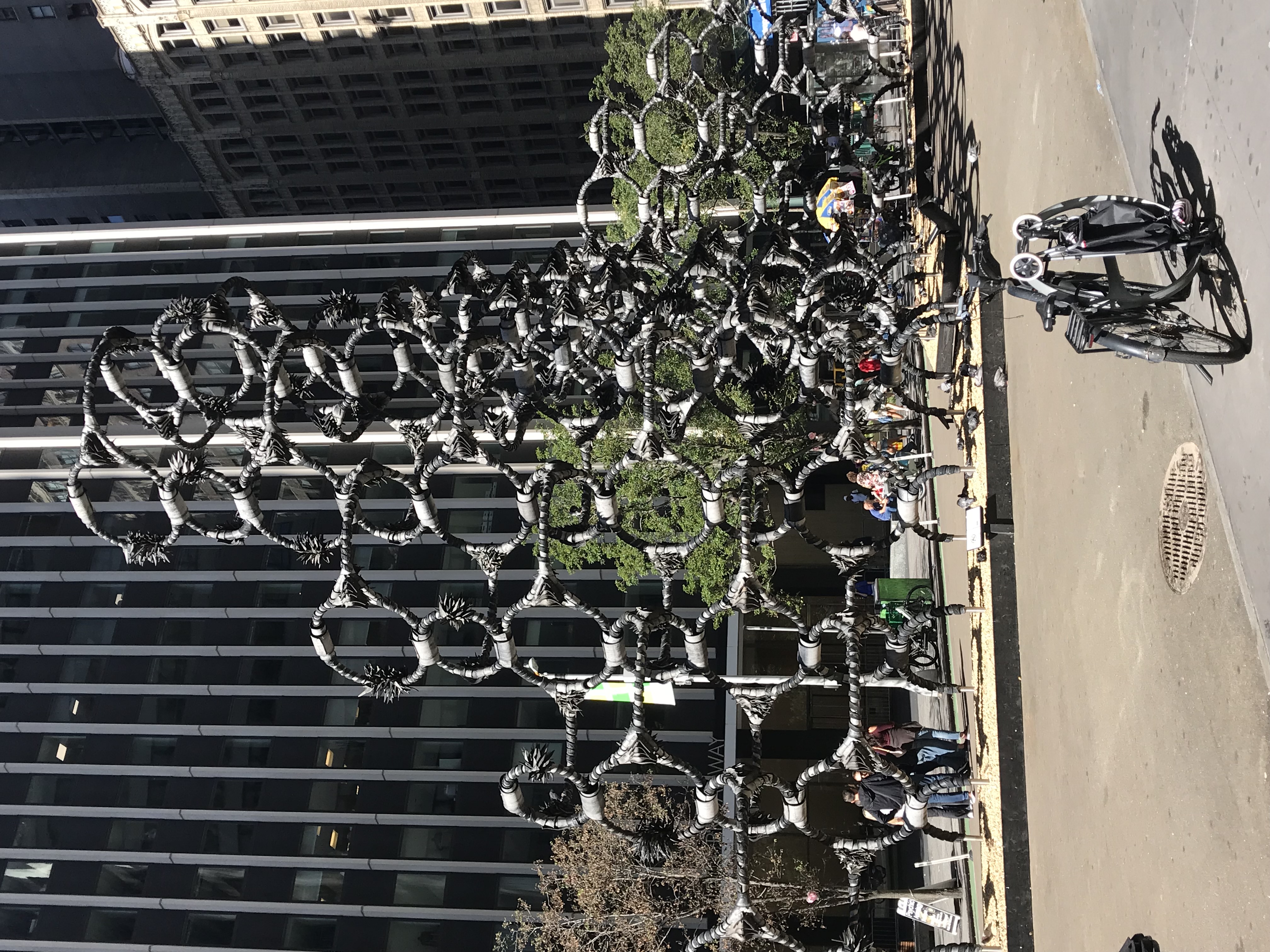 IMG_4907.jpeg