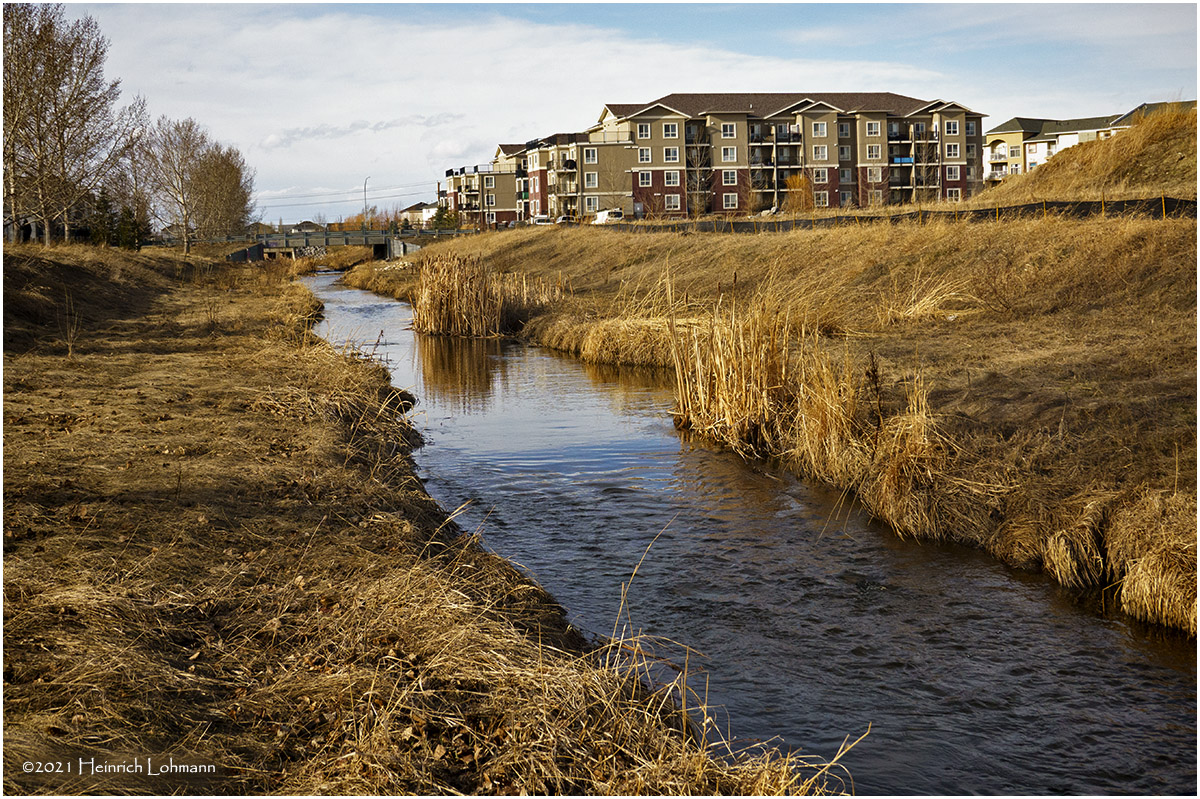 DSC4851-Airdrie.jpg