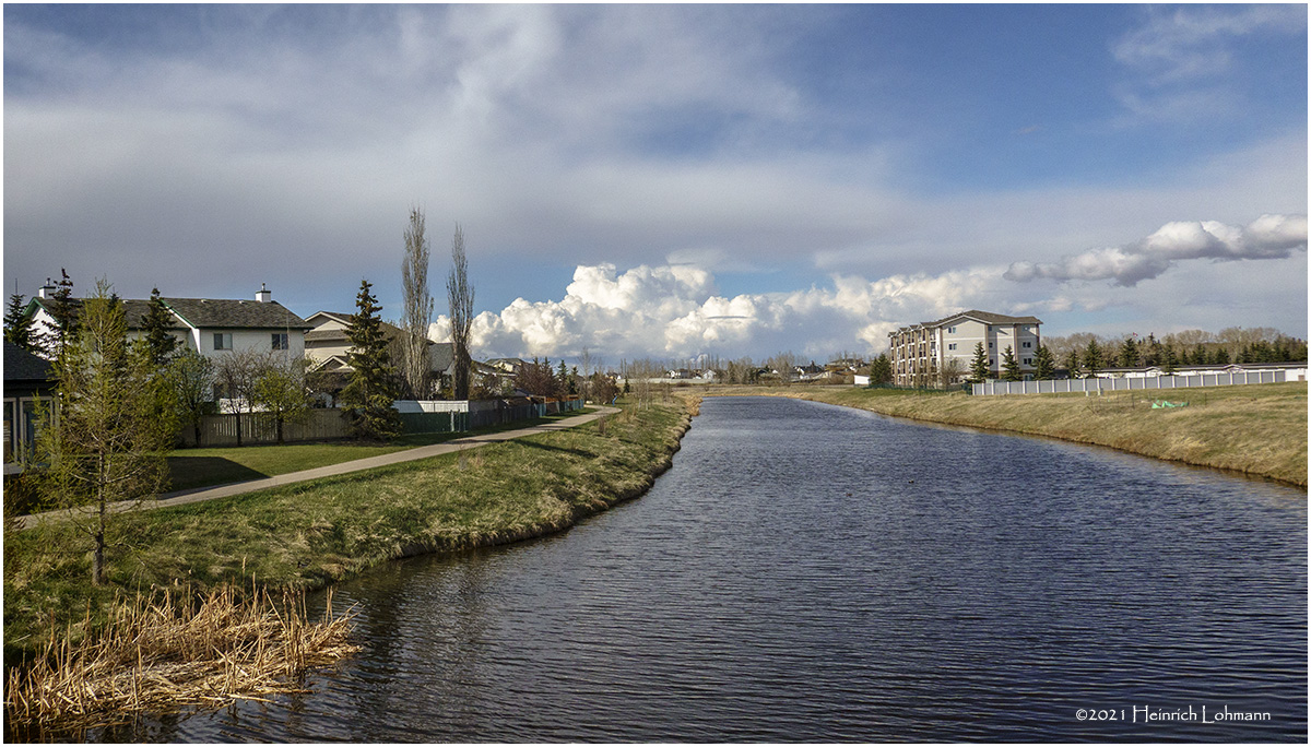 DSC5196-Airdrie.jpg