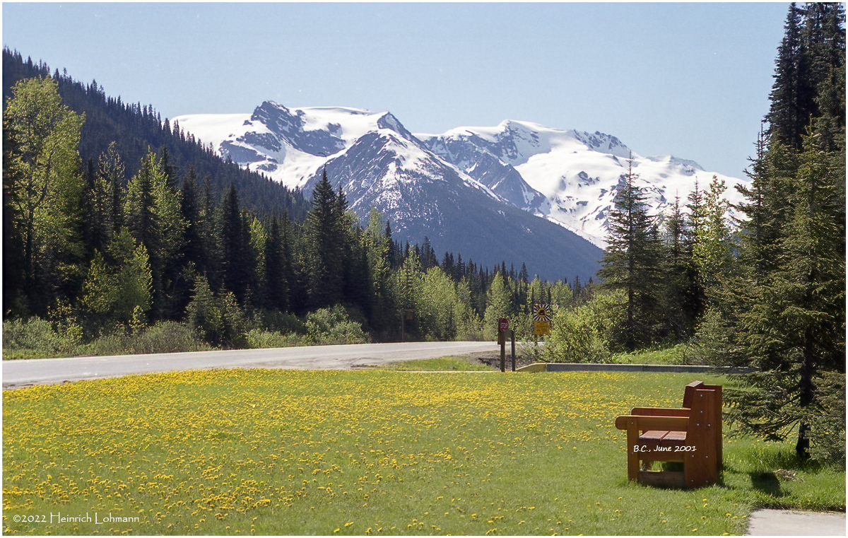 scan-2-692-Alberta.jpg