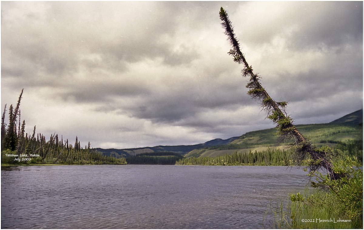 scan-2-682-Alberta.jpg