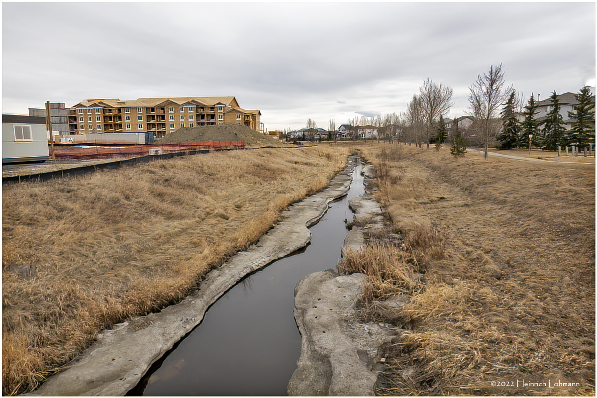 DSC07655-Airdrie.jpg