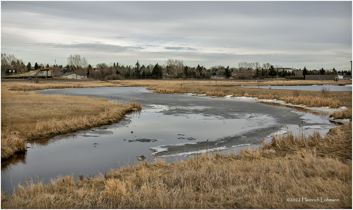 DSC07663-Airdrie.jpg
