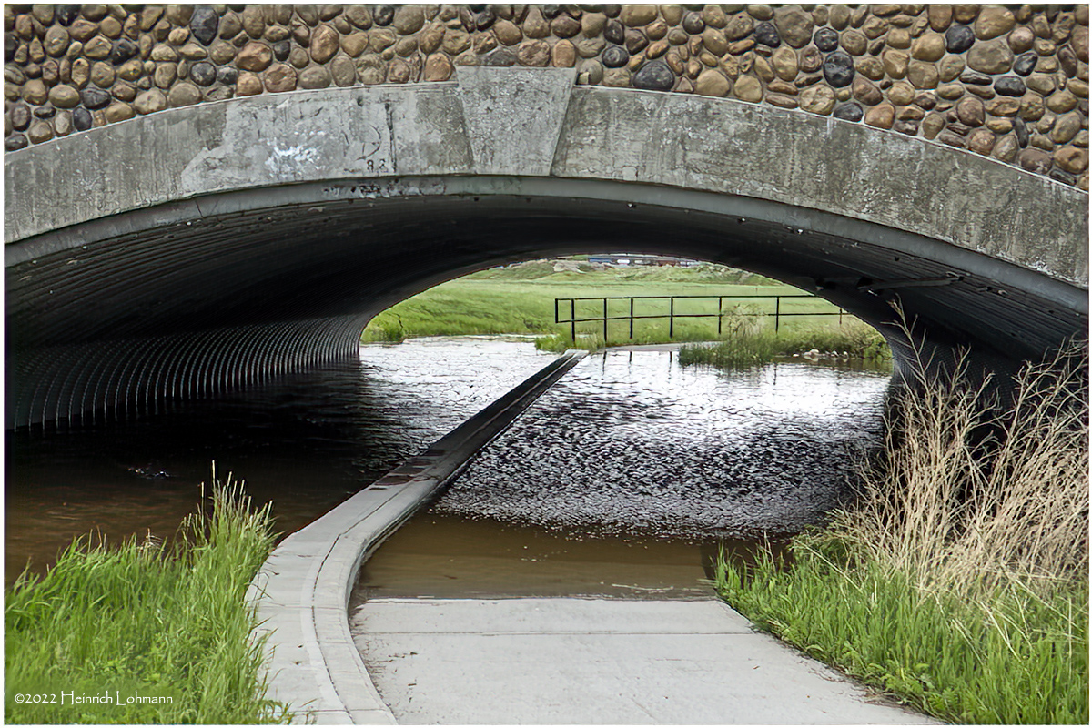 DSC07960-Airdrie.jpg