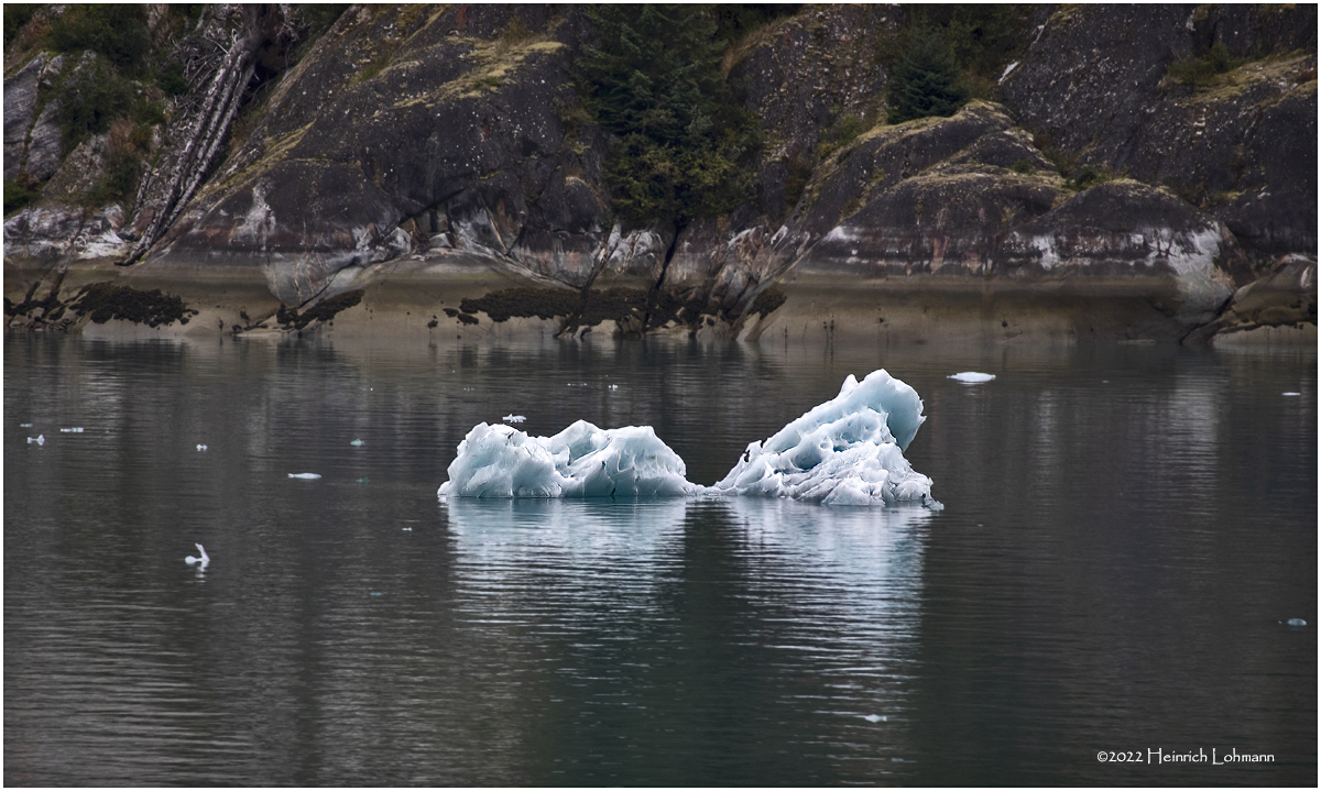 K4229257-Endicott Arm.jpg