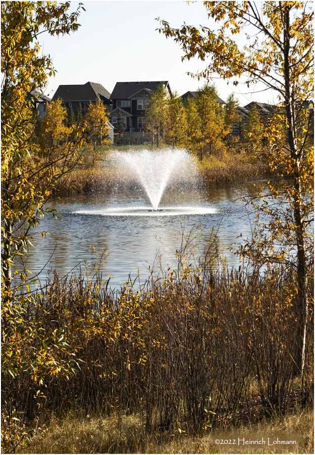 DSC09023-Airdrie.jpg