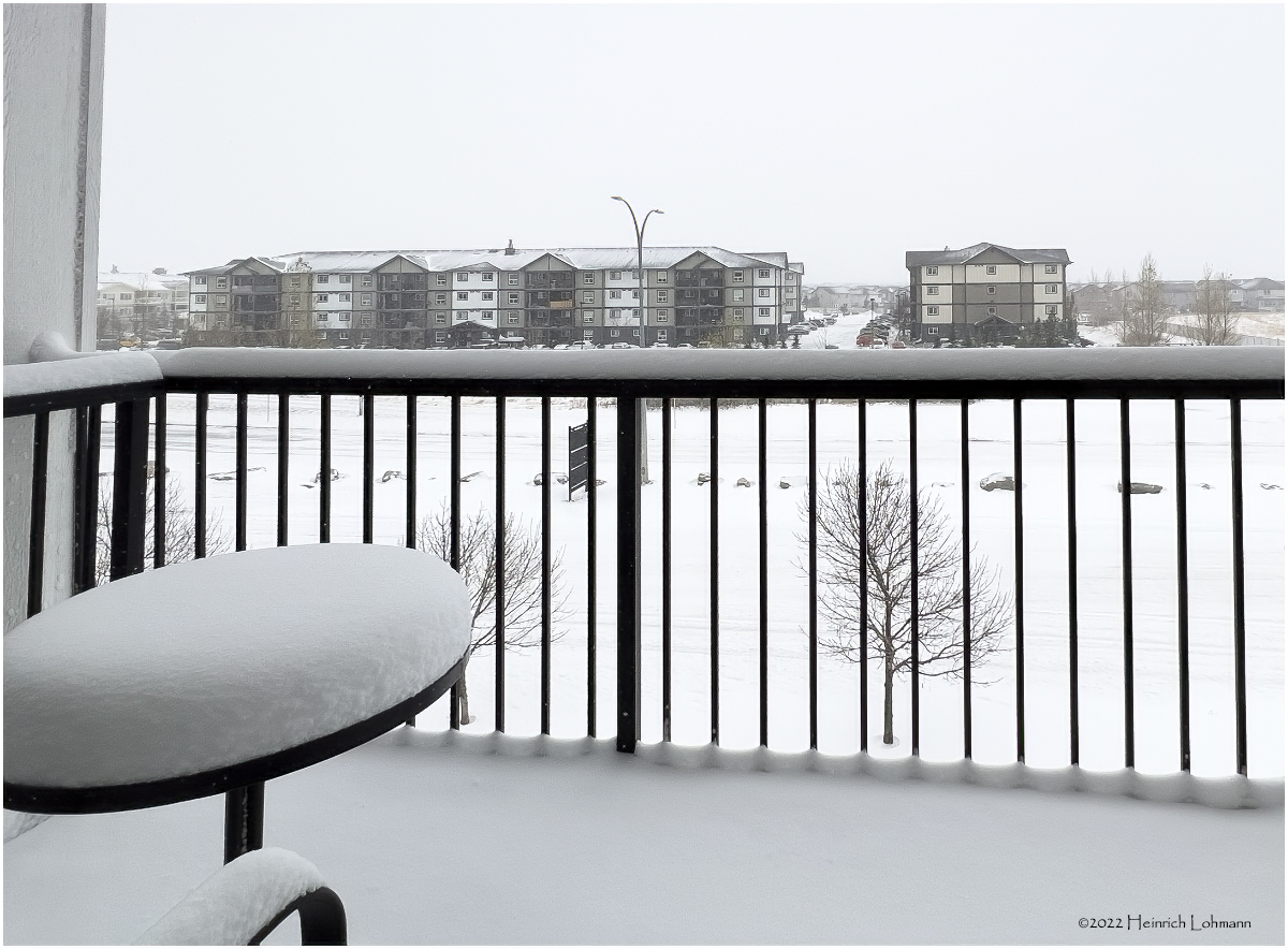 IMG_3385-Airdrie.jpg