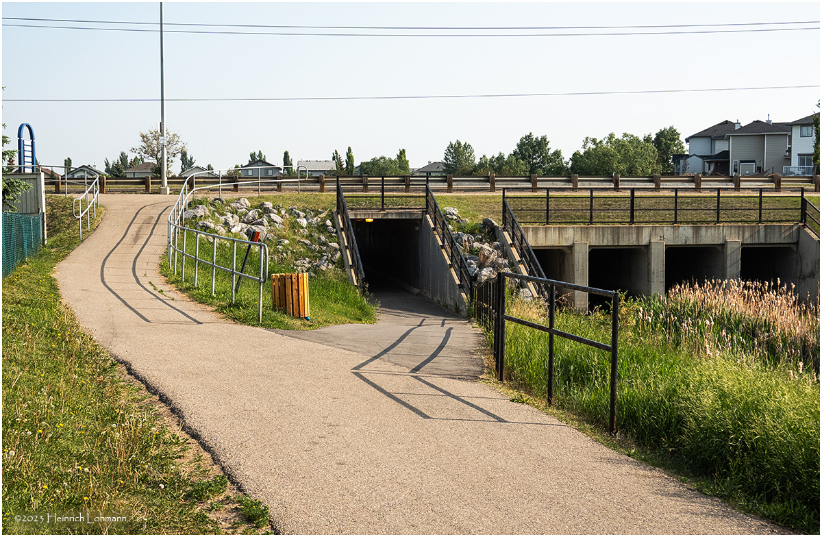 DSC09925-Airdrie.jpg