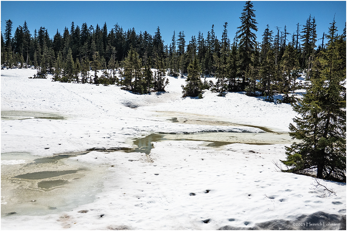 DSC09795-Icy Strait Point.jpg