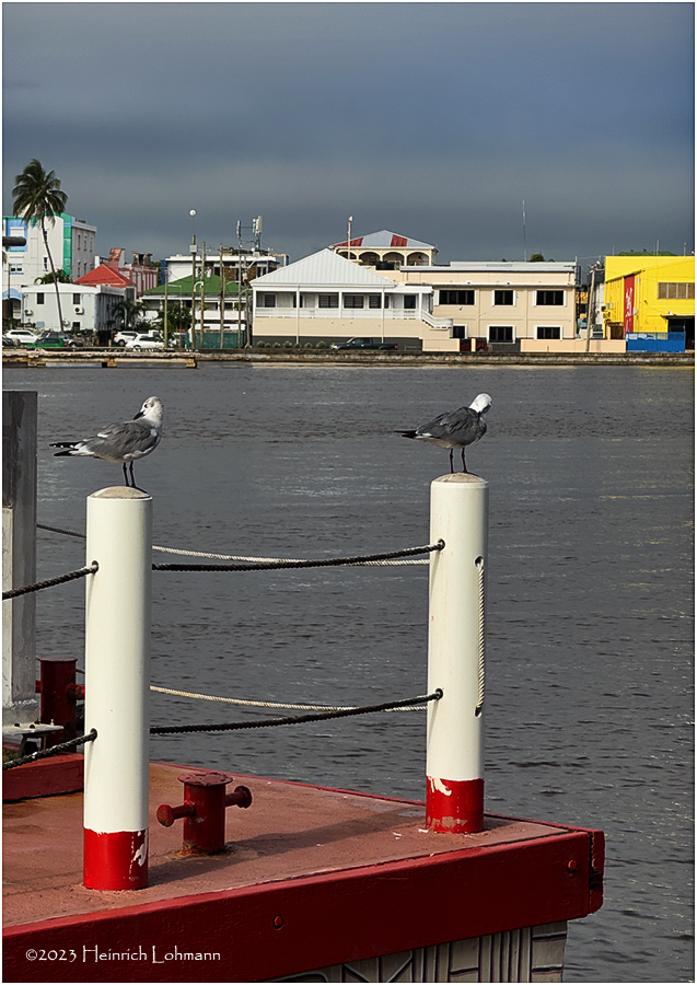 IMG_0957-Belize City.jpg
