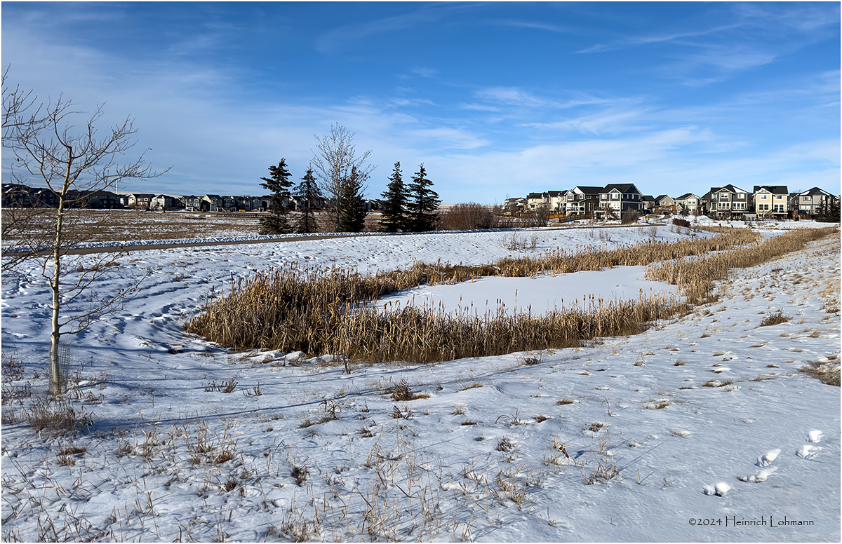 IMG_2130-Airdrie.jpg