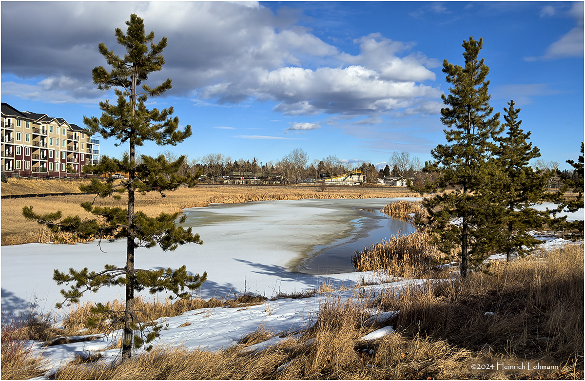 IMG_2272-Airdrie.jpg
