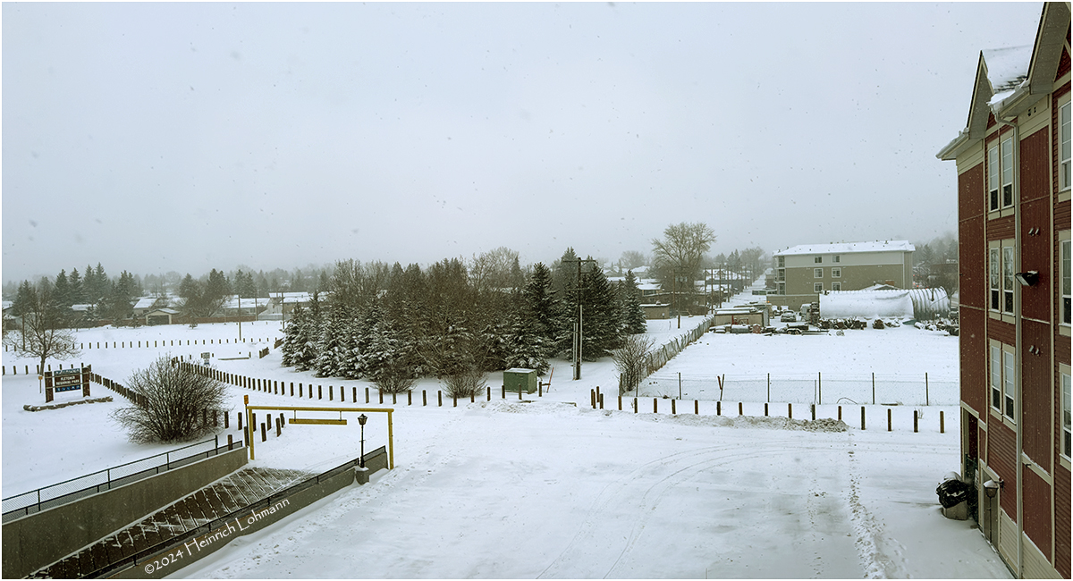 IMG_2541-Airdrie.jpg