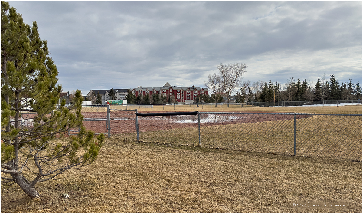 IMG_2583-Airdrie.jpg