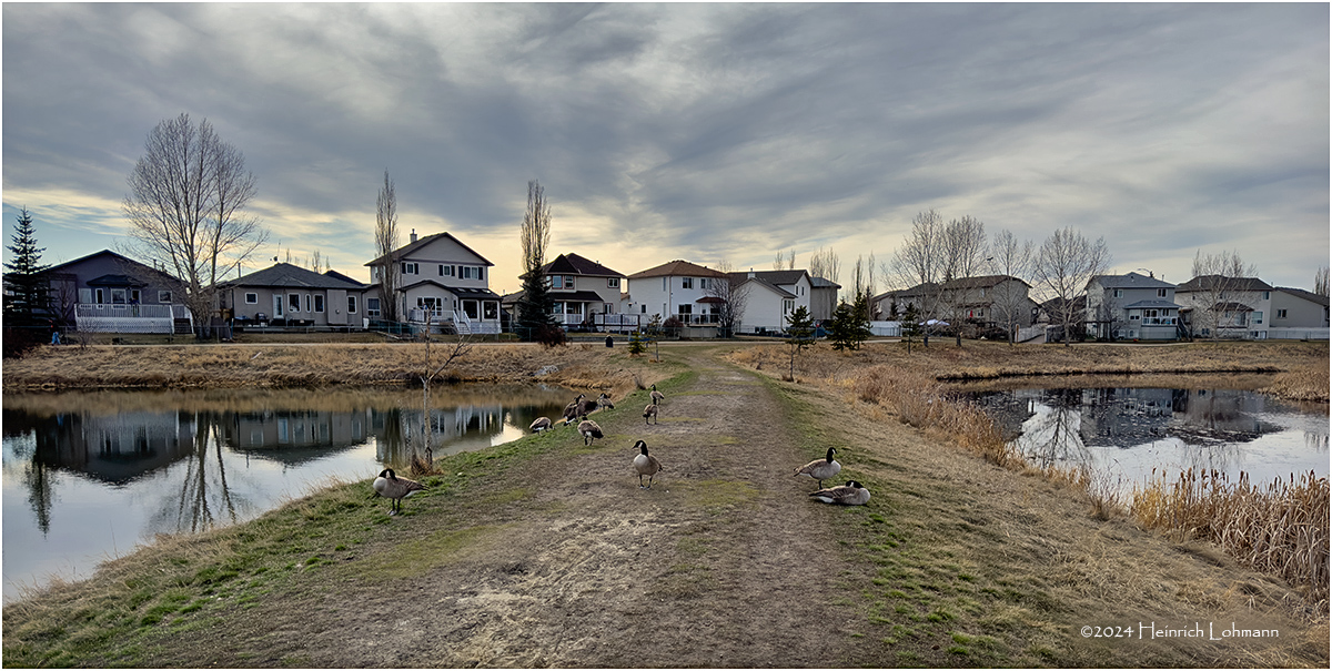 IMG_3003-Airdrie.jpg
