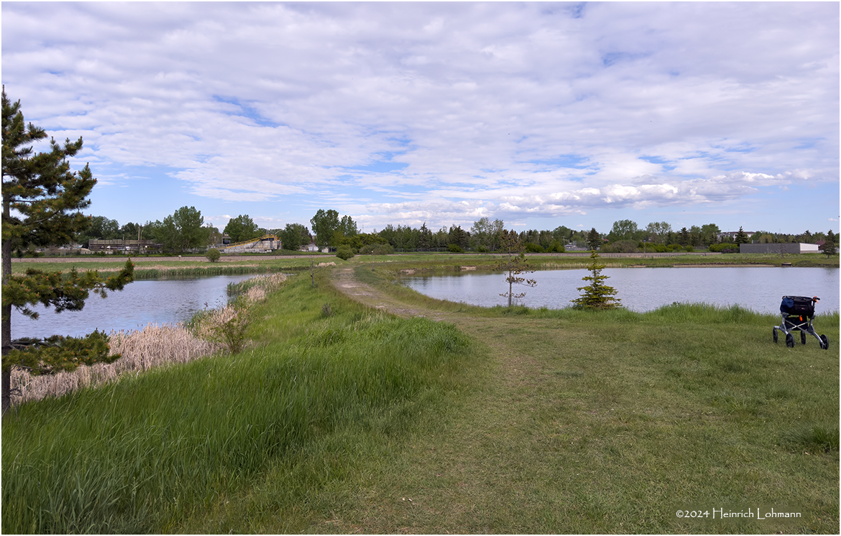 IMG_3478-Airdrie.jpg