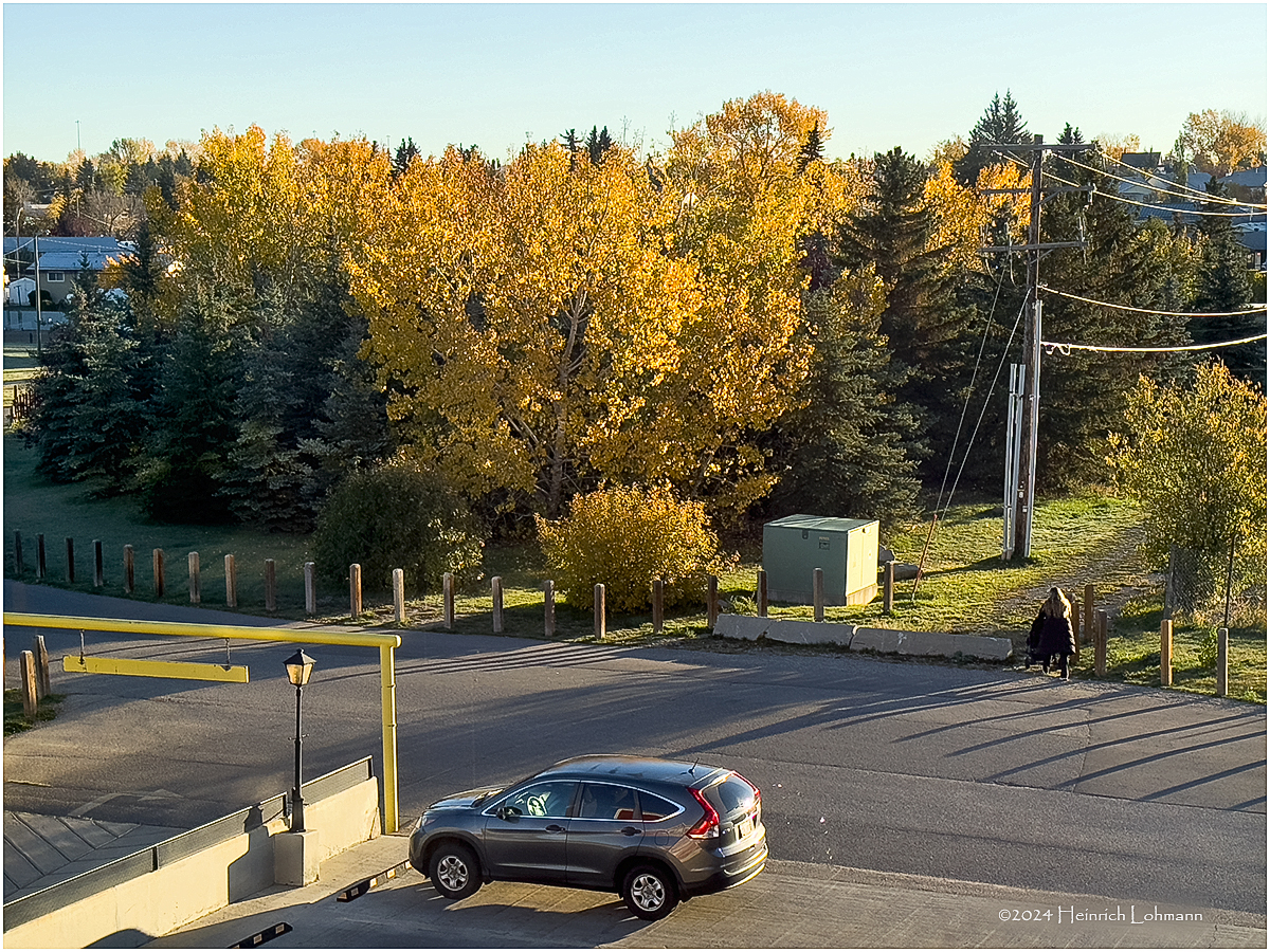 IMG_6173-Airdrie.jpg