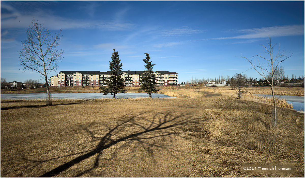 IMG_7569-Airdrie.jpg