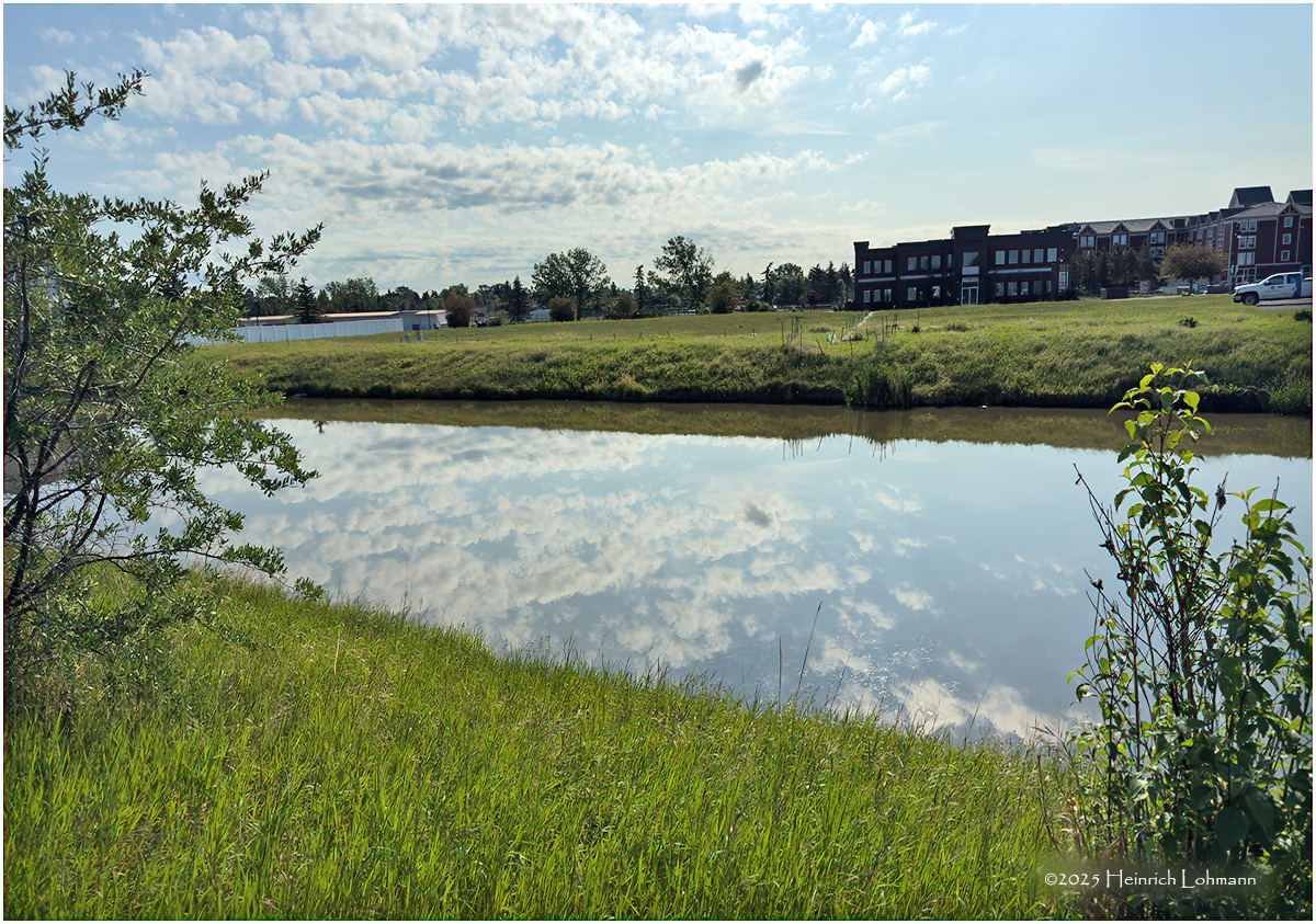 IMG_0575-Airdrie.jpg