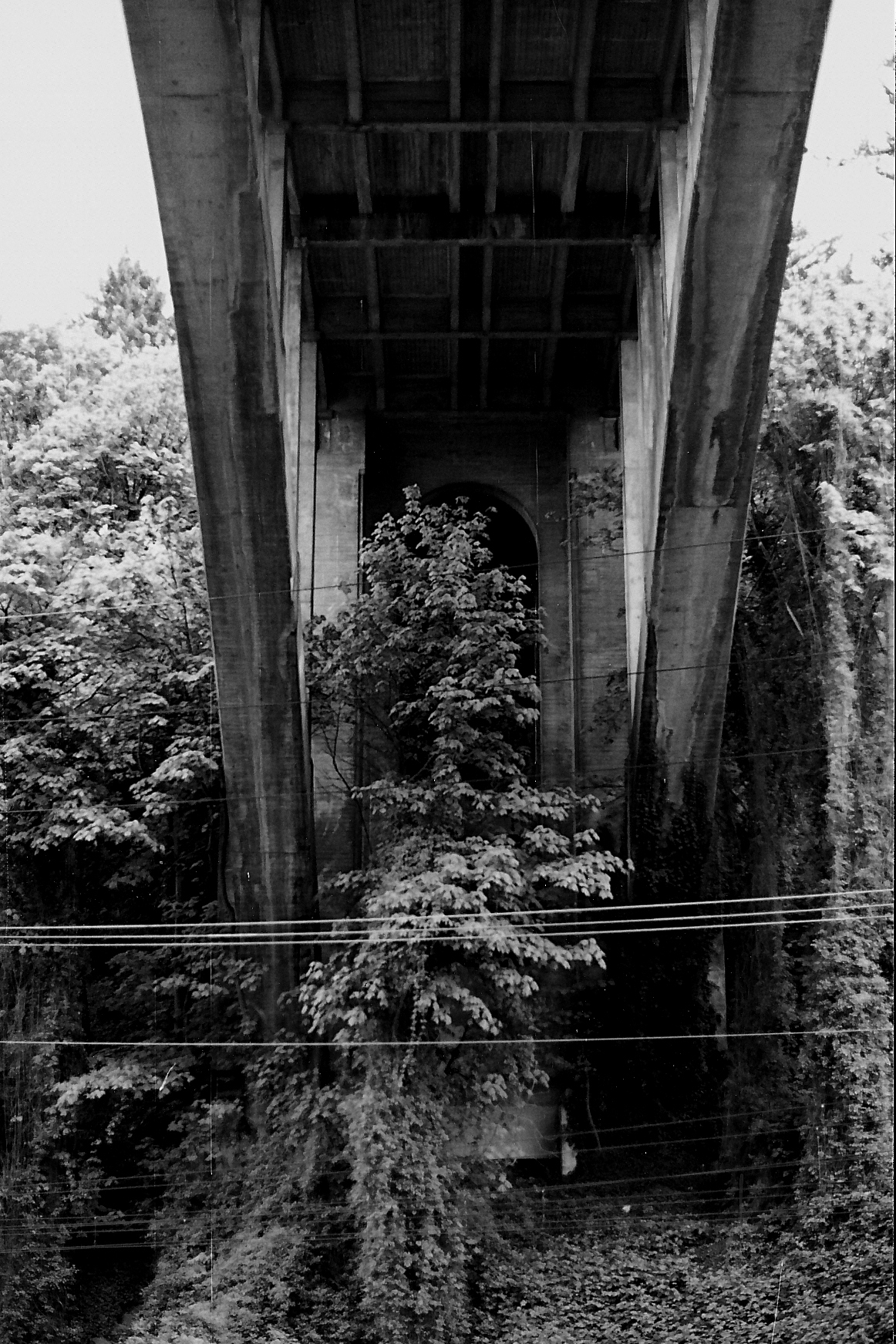 portland_vista_bridge_010_10.JPG
