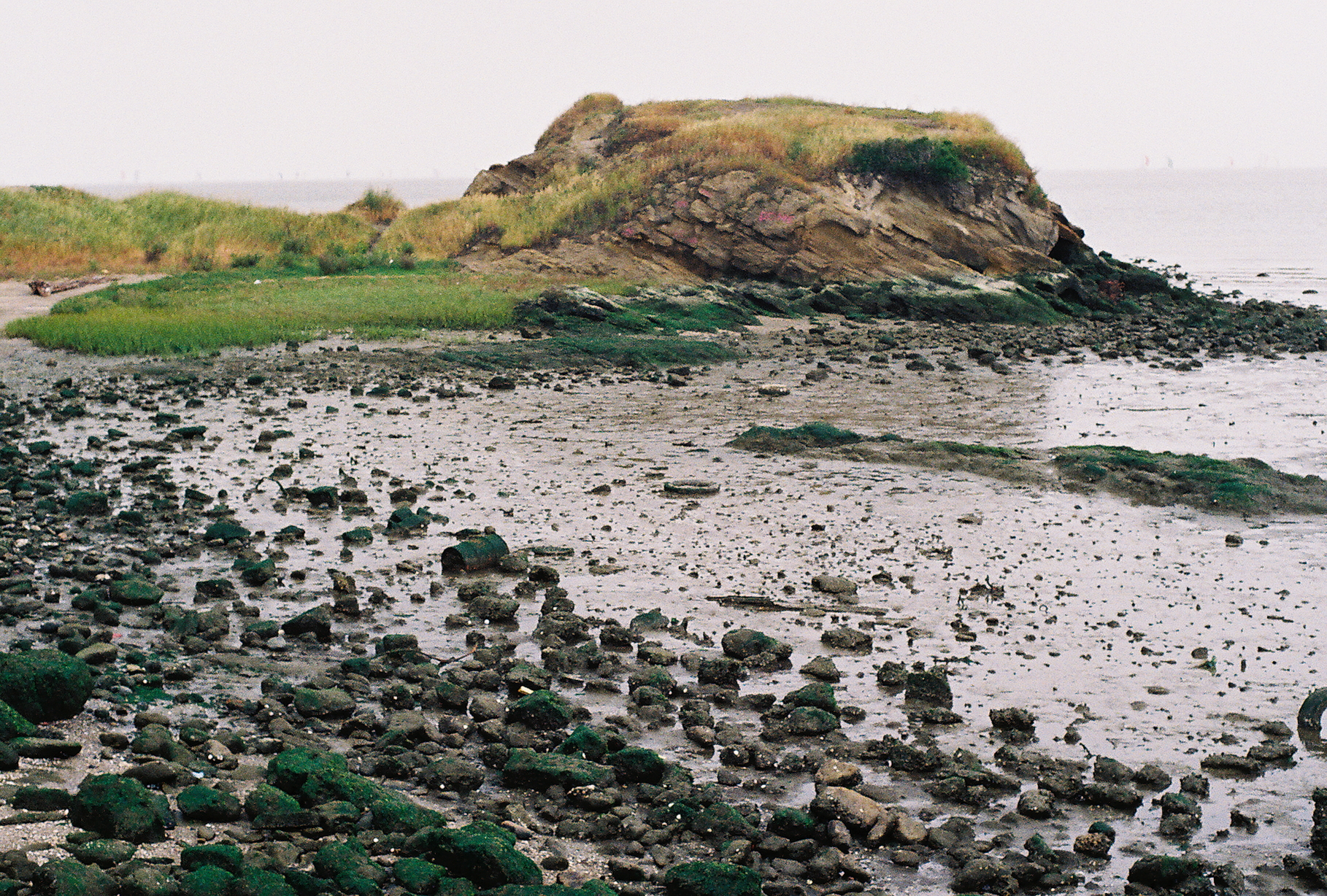 pinole_shores_2009_5- 2A.jpg