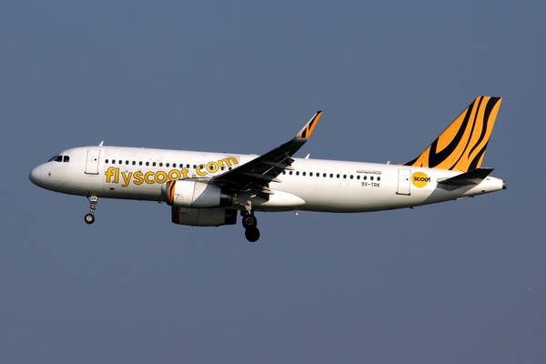 SCOOT AIRBUS A320 BKK RF 5K5A6300.jpg