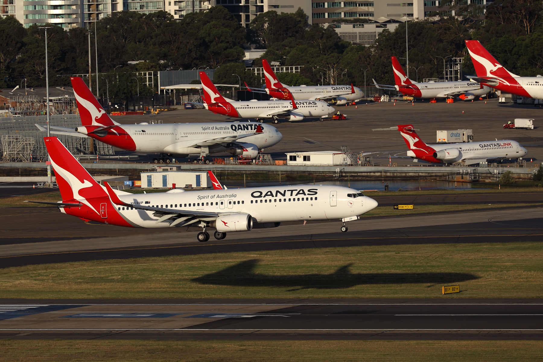 QANTAS BOEING 737 800 SYD RF 002A7649.jpg