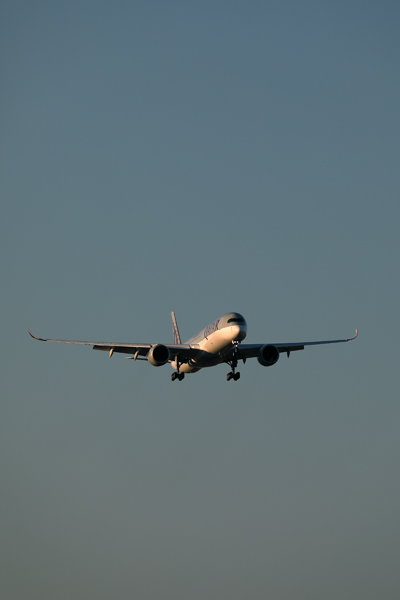 QATAR AIRBUS A350 1000 MEL RF 002A0343.jpg