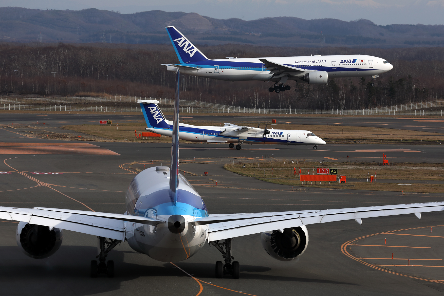 ANA AIRCRAFT CTS RF 002A6558.jpg