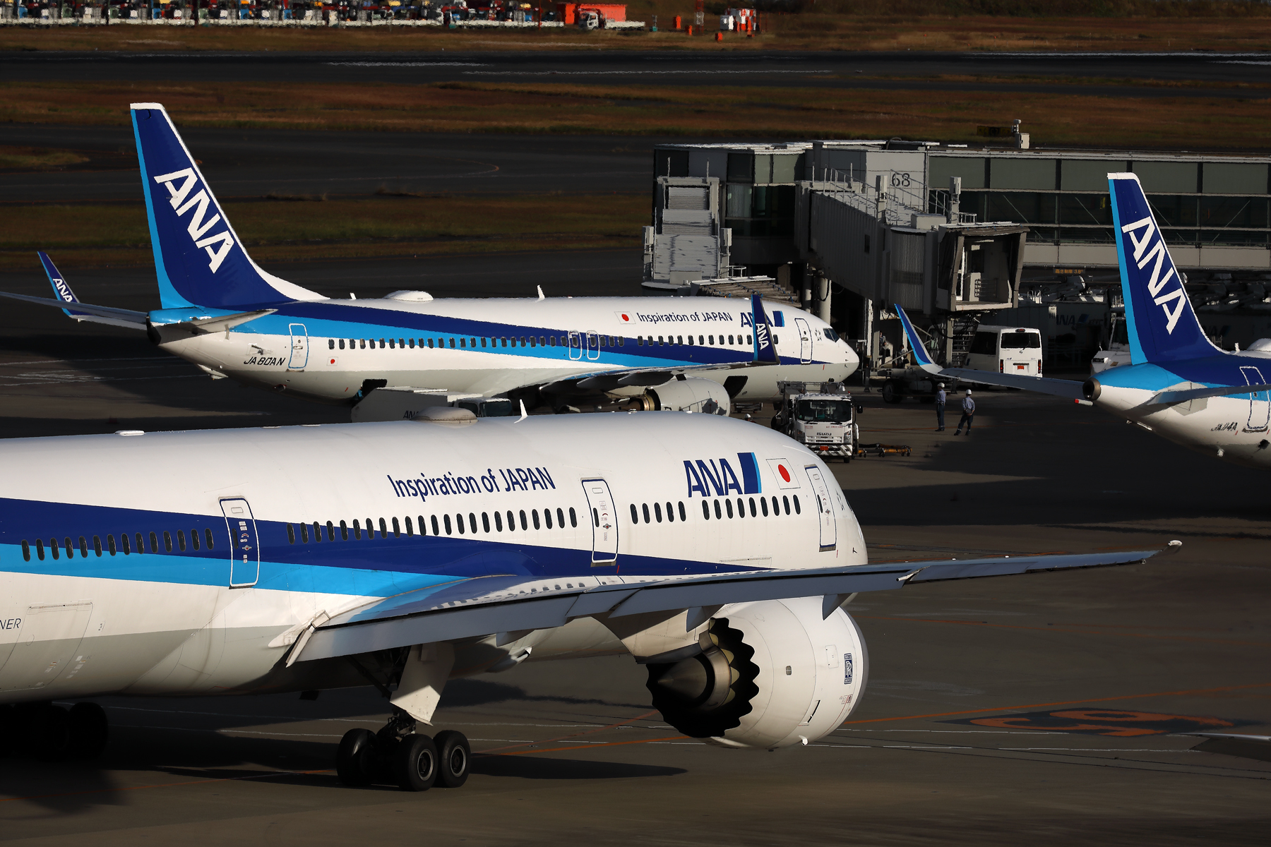 ANA AIRCRAFT HND RF 002A6849.jpg
