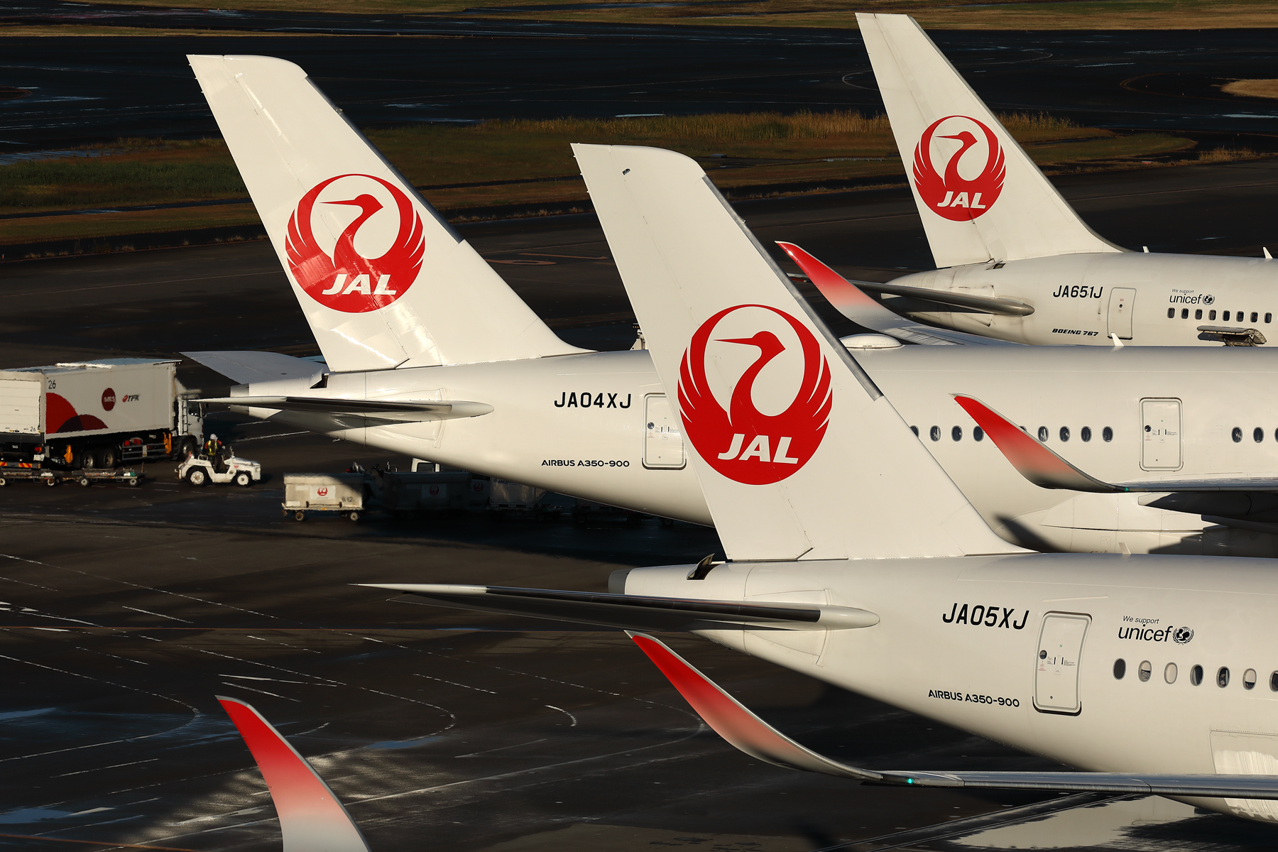 JAL AIRCRAFT HND RF 002A6708.jpg