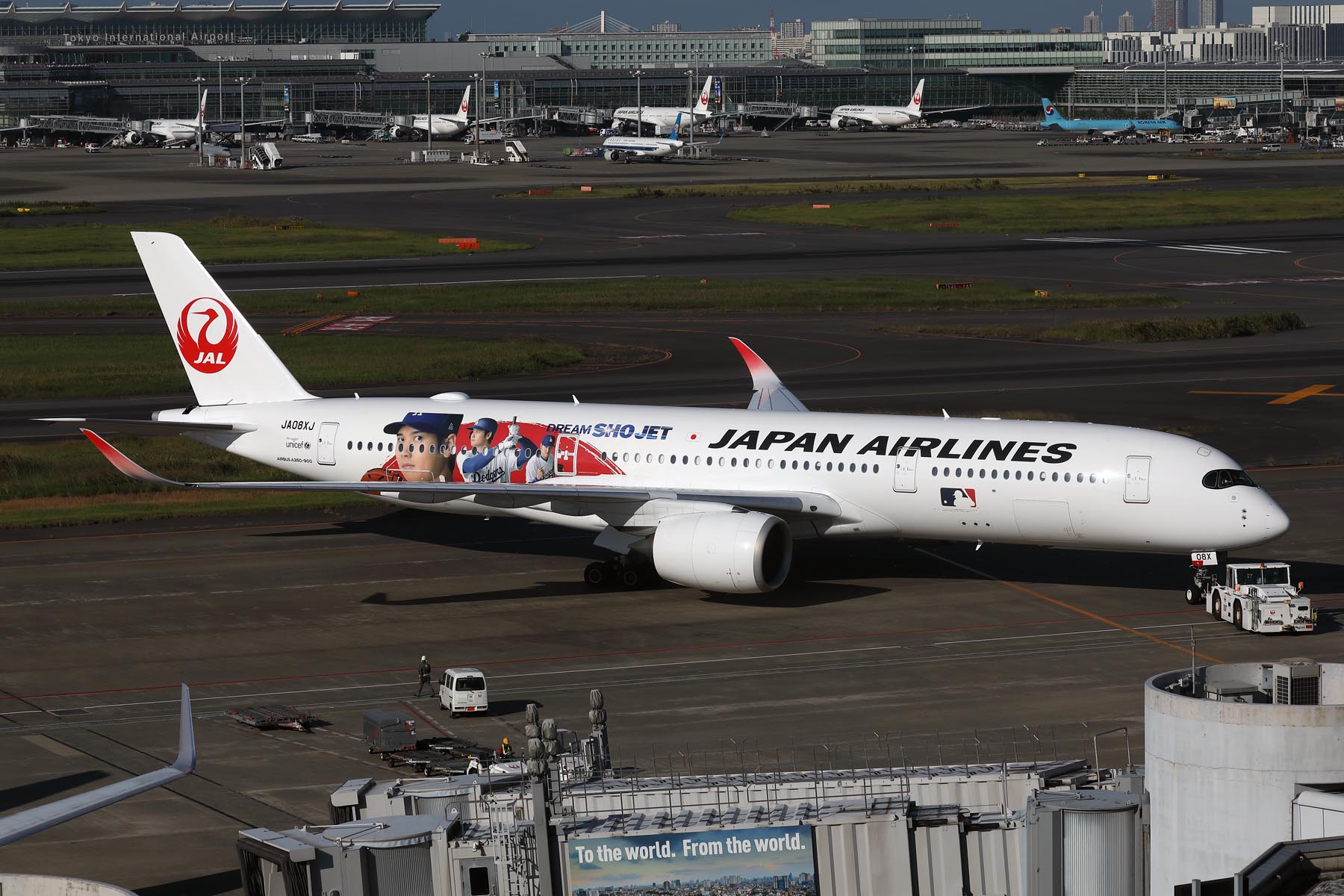 JAPAN AIRLINES AIRBUS A350 900 HND RF 002A3490.jpg