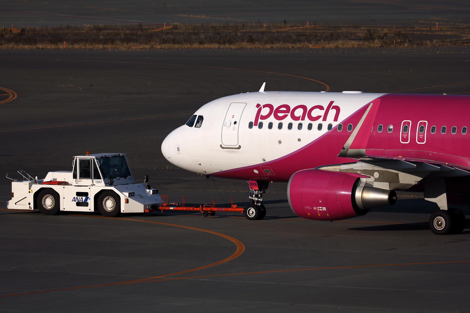 PEACH AIRBUS A320 CTS RF 002A4741.jpg