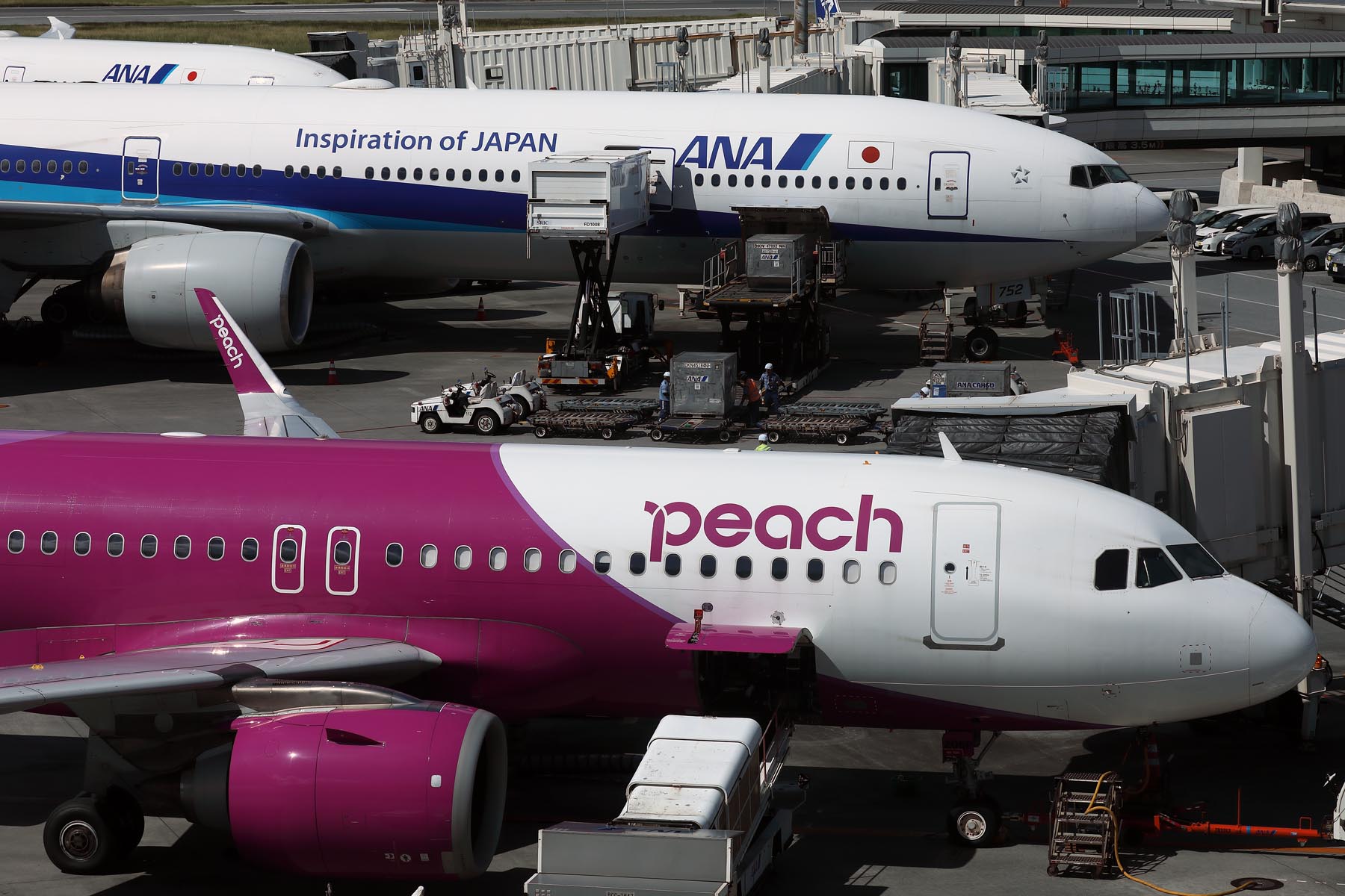 PEACH ANA AIRCRAFT OKA RF 002A4198.jpg