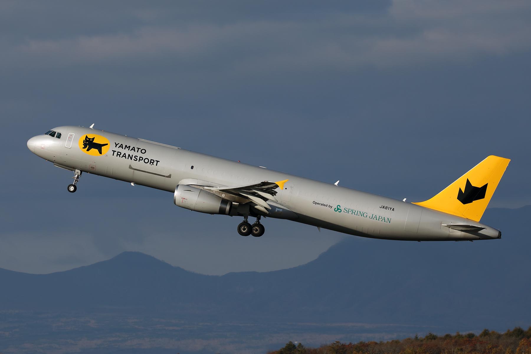 YAMATO TRANSPORT AIRBUS A321PF CTS RF 002A4566.jpg