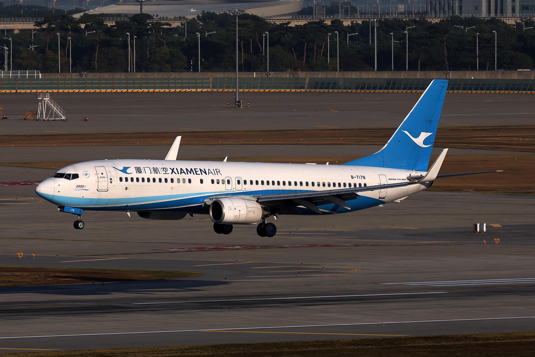 XIAMEN AIR BOEING 737 800 ICN RF 002A4061.jpg