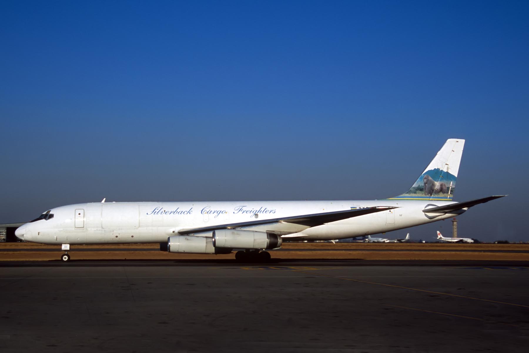 SILVERBACK CARGO FREIGHTERS DC8 F JNB RF F S 6550.jpg