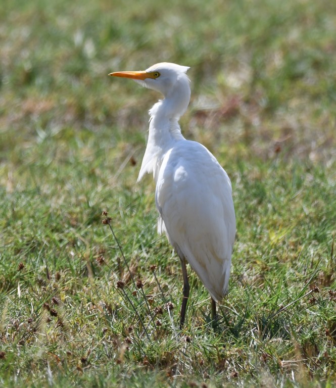 DSC_4989b.jpg