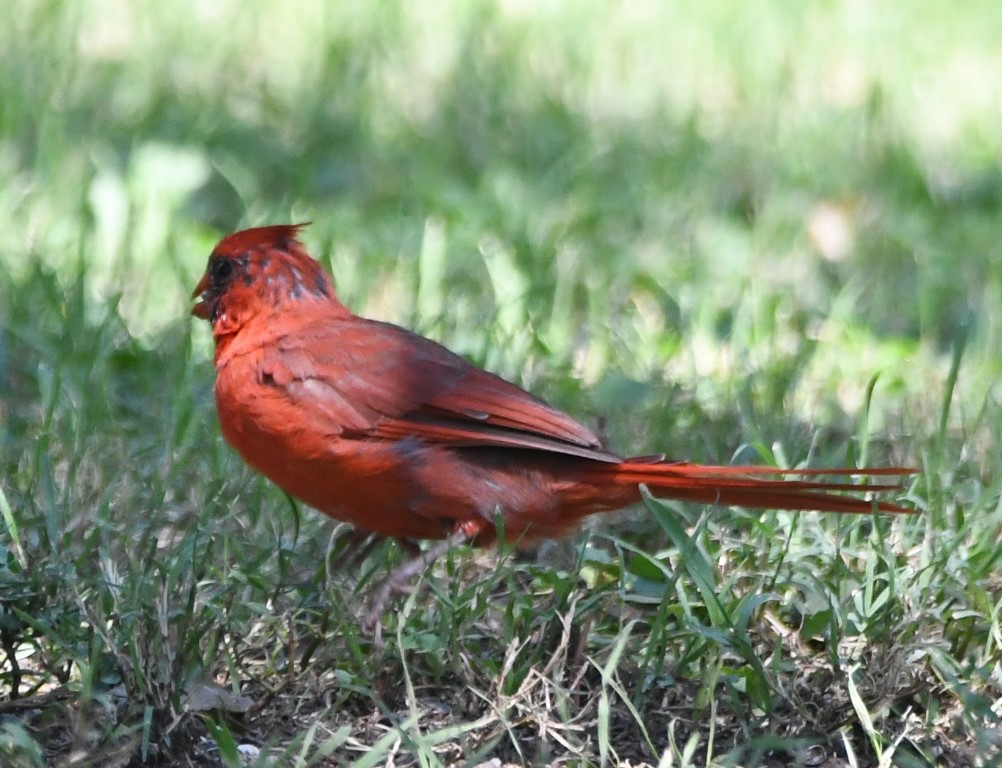DSC_5790b.jpg