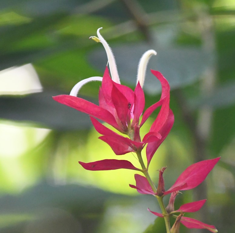 DSC_4641b.jpg