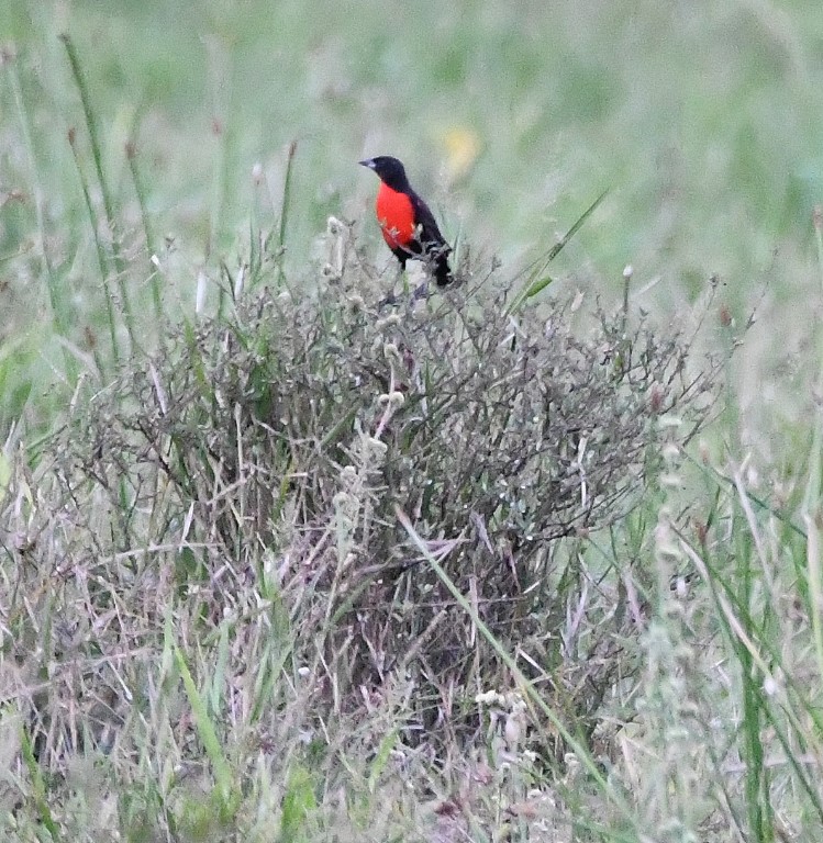 DSC_5069b.jpg
