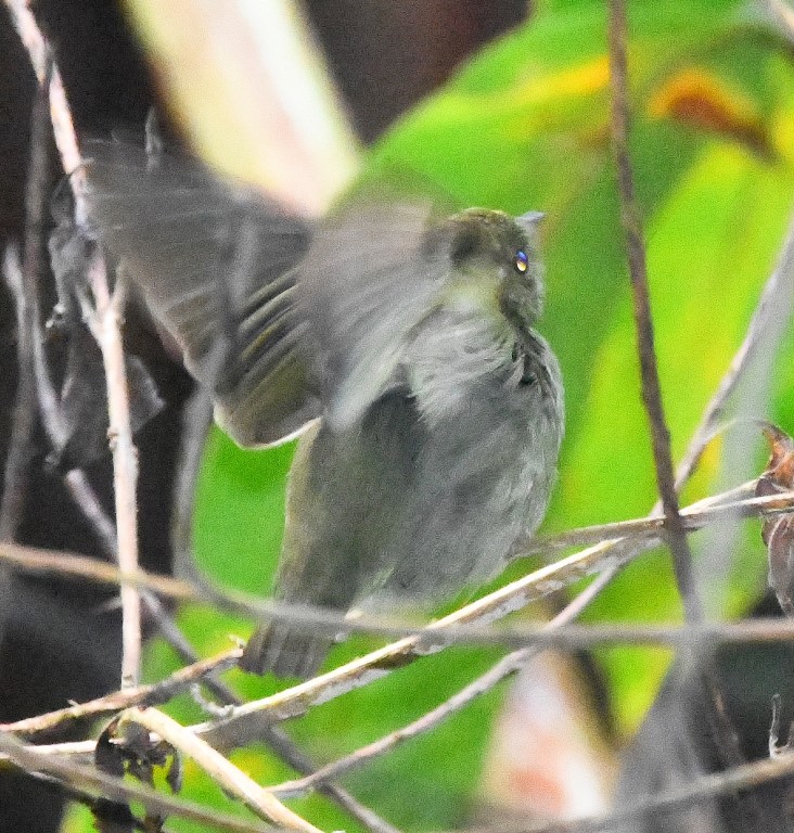 DSC_5140b.jpg