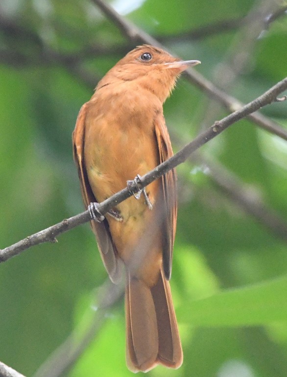 DSC_5475b.jpg