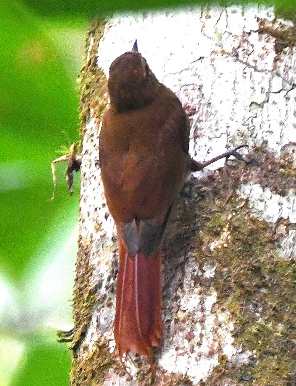 DSC_5507b.jpg