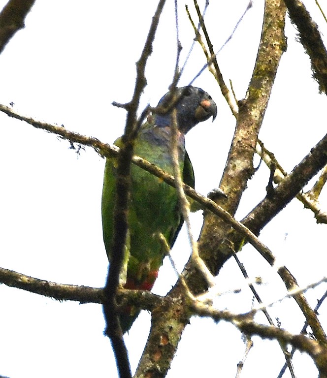 DSC_5820b.jpg